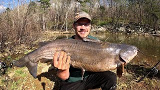 Simple Technique To Catch Big Catfish From The Bank Catch and Cook FAIL [upl. by Maggs108]