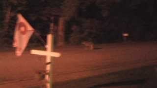 Coyote Sighting in Upper Township NJ [upl. by Emorej]