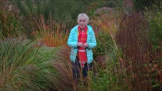 Great British Gardens  Marchants  Carol Klein [upl. by Eecrad]