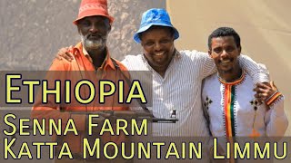 Ethiopia Coffee Farm Portraits Senna Farm Katta Mountain Limmu Kossa [upl. by Nothgierc]