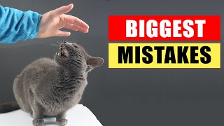 20 Common Mistakes Cat Owners Make [upl. by Wimsatt]