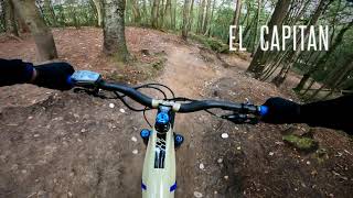 Surrey Hills MTB  THE BEST TRAILS [upl. by Akiria]