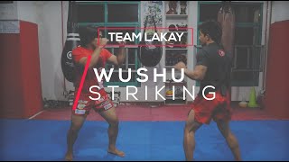 WUSHU  Basic Wushu Striking Techniques  Team Lakay Instructional [upl. by Rather]