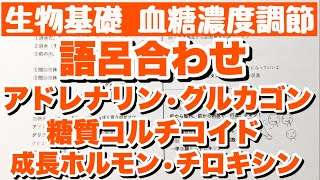 【生物基礎語呂合わせ】血糖濃度が低い場合 アドレナリン・グルカゴン・糖質コルチコイド・成長ホルモン・チロキシンの語呂合わせ ホルモンの覚え方①内分泌系 ゴロ生物基礎 [upl. by Avilla]