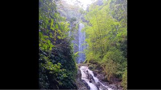 Charco Prieto Bayamon Boriken Puerto Rico [upl. by Cowley]