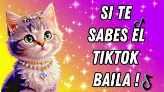 Si Te Sabes El TikTok Baila   2024 💌💌💌 [upl. by Siuraj670]