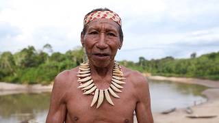 Nestor Bina  I am a true Matsés [upl. by Htomit]