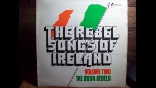 Banna Strand  The Irish Rebels [upl. by Eillo]