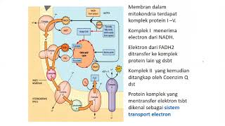 Resume Metabolisme Karbohidrat Lengkap [upl. by Ahsenwahs33]