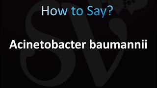 How to Pronounce Acinetobacter baumannii CORRECTLY [upl. by Buffy325]