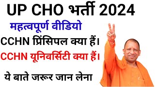 UP CHO भर्ती 2024 BIG UPDATE UP CHO CCHN CERTIFICATE BIG PROBLEM IMPORTANT VIDEO FOR UP CHO 2024 [upl. by Lettig598]