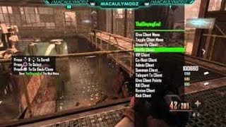 Black ops 2 Zombies mod menu Conversion v1 XBOXps3pc  download link [upl. by Jerrilee]