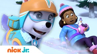 PAW Patrol Rescues Mayor Goodway From a Snowy Mountain w Everest Skye amp Chase  Nick Jr [upl. by Gronseth149]