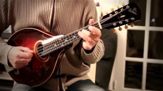 Irish Mandolin tunes Bear Island irish reel played on Gibson mandolin [upl. by Sigler]