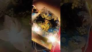 Pakad lo hath banvari 👏🙏 music song religion ladoogopal radhakrishna [upl. by Trebled]