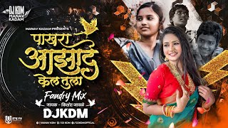 Pakhara Aazad Kela Tula  Pakhara Azad Kel Tula Sad Dj Song  Pakhara Aazad Kela Tula Song  Marathi [upl. by Anelrad]