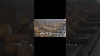 Tater Tots were invented to reduce waste thats mindblowing [upl. by Acul]