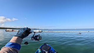 Testing the Abu Garcia VeritasNoeby Infinite SW2500 Combo from Techspot Amazing Dropshot Fishing [upl. by Adlay605]