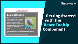 Getting Started with the React Tooltip Component [upl. by Behre]