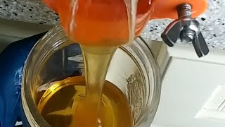 How Honey is Made [upl. by Most]