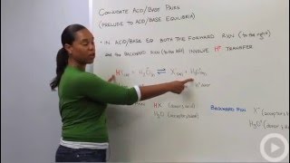 Conjugate Acids and Bases [upl. by Eirak662]