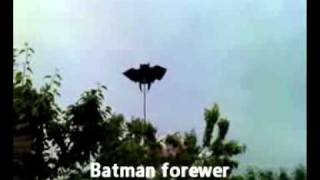 Jak wygonić szpaki z czereśni czyli batman forever [upl. by Suirrad]