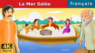 La Mer Salée  Salty Sea in French  Histoire Pour Les Petit  Contes De Fées Français [upl. by Neri829]