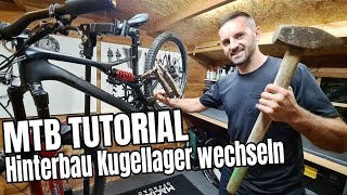 Kugellager am MTB Hinterbau wechseln  Mountainbike Tutorial  Specialized Stumpjumper [upl. by Magree]