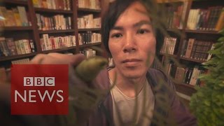 Manga artist Hajime Isayama reveals his inspiration  BBC News [upl. by Laaspere786]