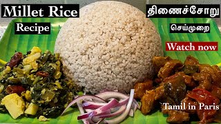 Millet rice recipe in tamil  millet rizதிணைச்சோறு செய்முறை [upl. by Lindsley]