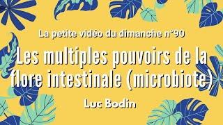 LES MULTIPLES POUVOIRS DE LA FLORE INTESTINALE MICROBIOTE  La petite vidéo du dimanche n°90 [upl. by Banebrudge]