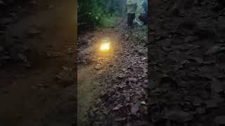 tariling rc adventure di hutan rcadvanture offroad jimnyindonesia rcadventurepemula ehorts [upl. by Ecissej398]