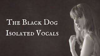 The Black Dog Isolated Vocals  Taylor Swift [upl. by Prober]