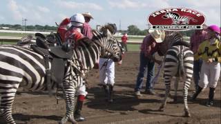 Canterbury Park Extreme Day 71517 [upl. by Adonis]