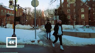 4K  Harvard Night After Winter Snowstorm Cambridge Boston [upl. by Airednaxela]