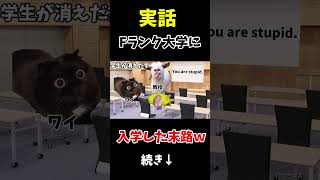 Fランク大学ショート shorts fラン大学生 猫ミーム 猫マニ [upl. by Pasahow]