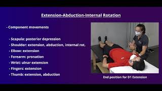 PNF Proprioceptive Neuromuscular Facilitation for the Upper Extremity [upl. by Huebner744]