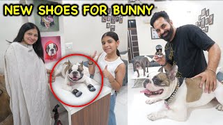 New Shoes for our Dog Bunny 🐶  Harpreet SDC [upl. by Aeki83]