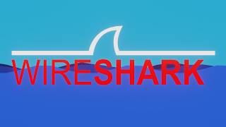 Wireshark Unlocking the Secrets of Network Monitoring [upl. by Nosduj]