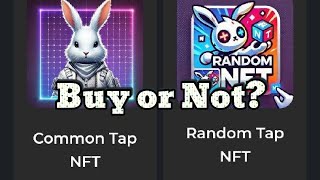 White Bunny Update  NFT Sale To Earn Faster [upl. by Willow434]