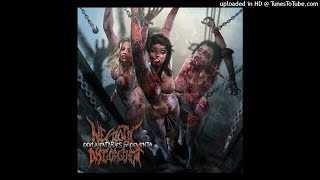 Necrotic Disgorgement  Documentaries of Dementia Full Album [upl. by Naugan284]