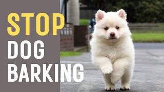 Sound To Stop Dogs Barking [upl. by Niliac523]