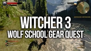 Witcher 3  Wolf School Diagram Map Locations Gear and Weapons [upl. by Kath31]