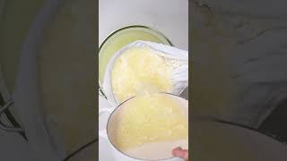 How To Make Mozzarella Cheese [upl. by Aleekahs]