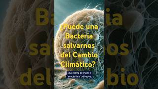 ¿Puede una bacteria salvarnos del cambio climático [upl. by Leitnahs]