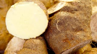 5 Incredible Health Benefits Of Yams [upl. by Illac]