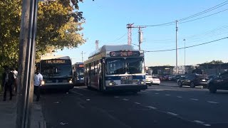 MTA Bus Service amp Beeline Bus Action at Wakefield241 Street Bx39 BxM11 Route 42 [upl. by Dlnaod]