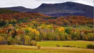 Bieszczady Jesienią  Kolorowe Szlaki [upl. by Estella]