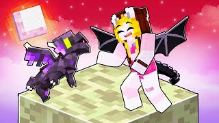 Traiesc cu DRAGONII o Zi in Minecraft [upl. by Kenlee]