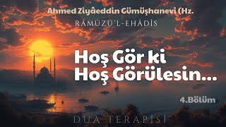 Hoş Gör ki Hoş Görülesin  Ahmet Ziyaeddin Gümüşhanevi Hz  Sesli Kitap [upl. by Ahsiekel]